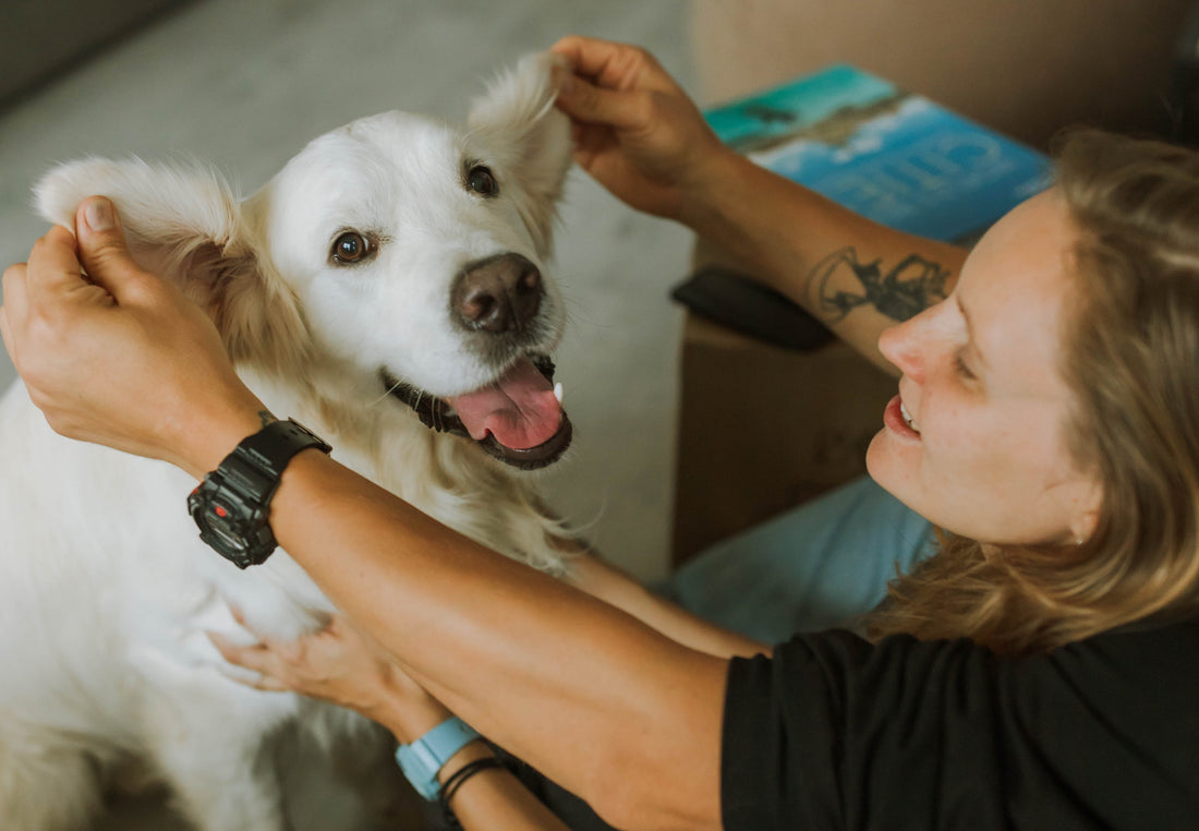 Importance of Bonding with Your Dog | Strengthening the Dog-Owner Relationship | Building Trust and Affection | Enhancing Canine Well-Being and Happiness | Meaningful Connections with Your Beloved Pet.