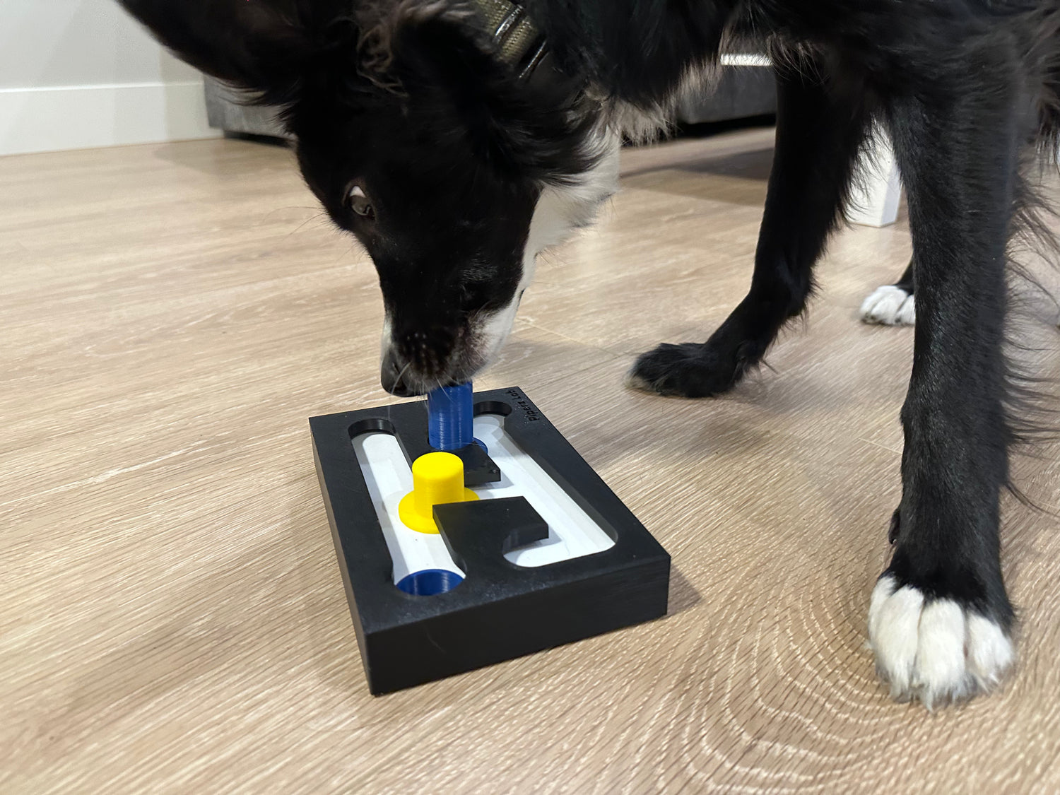 The Maze Training Kit (Levels 1 to 6) - Puzzle Toy for Dogs
