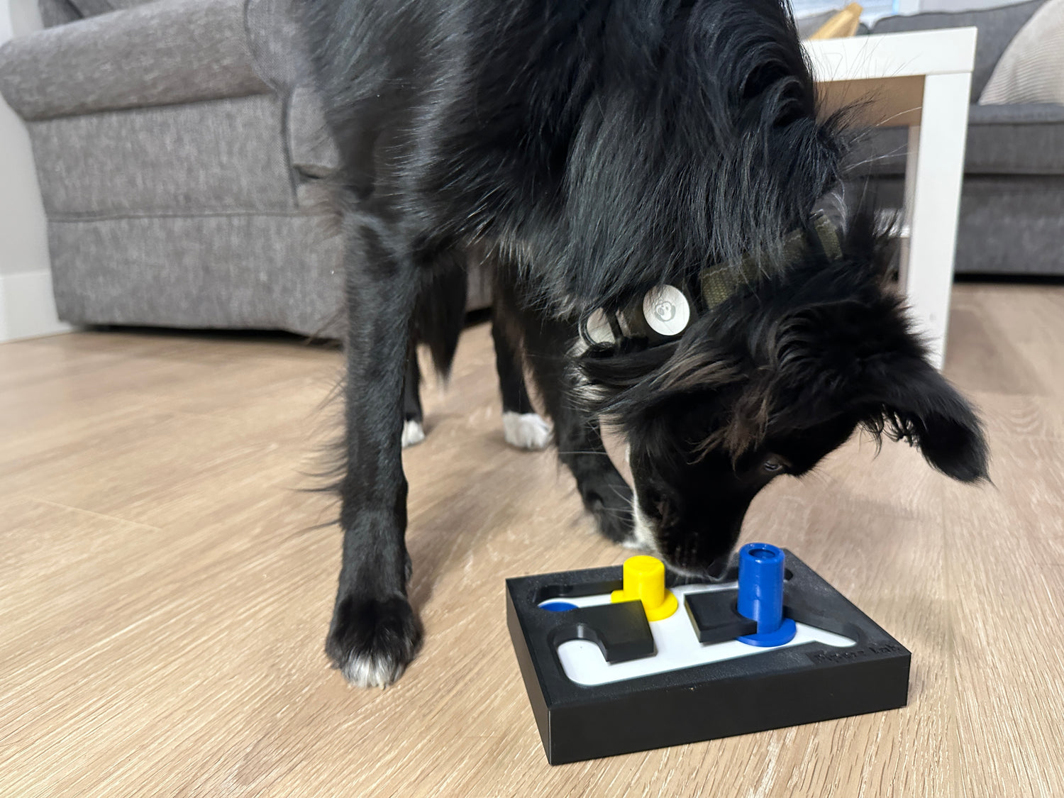 Dog Puzzle Toys - Challenging Interactive Mental Enrichment - Level 3, Blue  